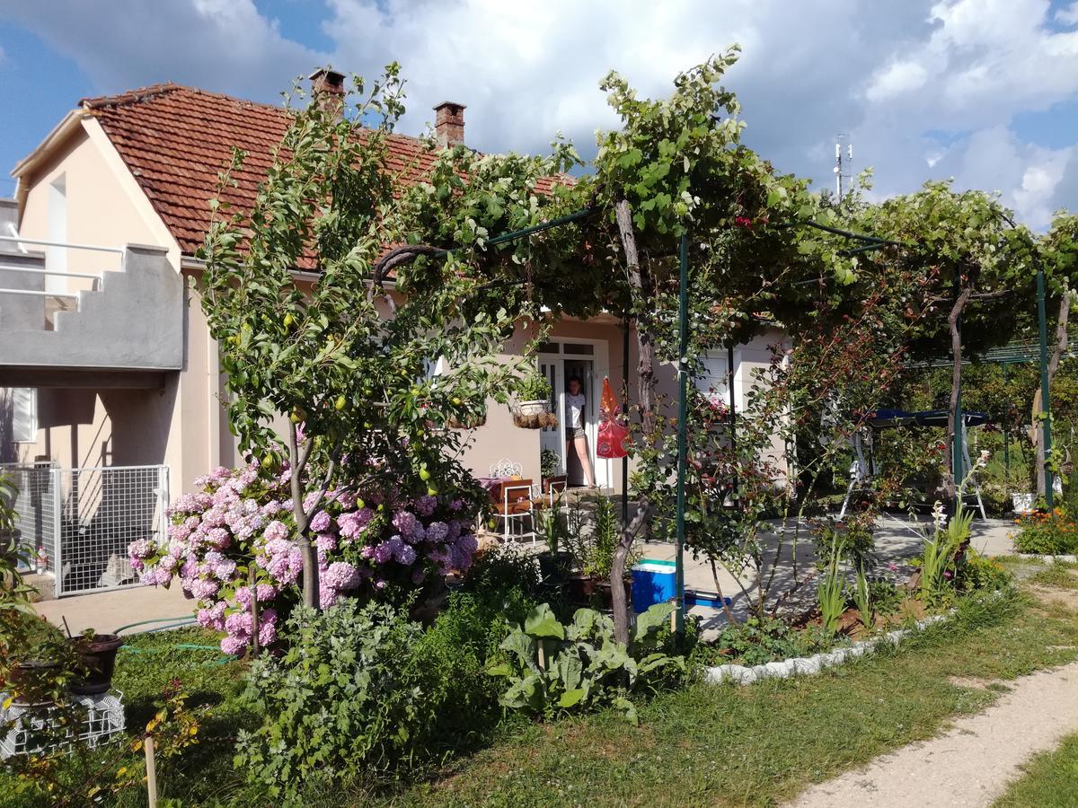 Frile Apartments Niksic Exterior photo